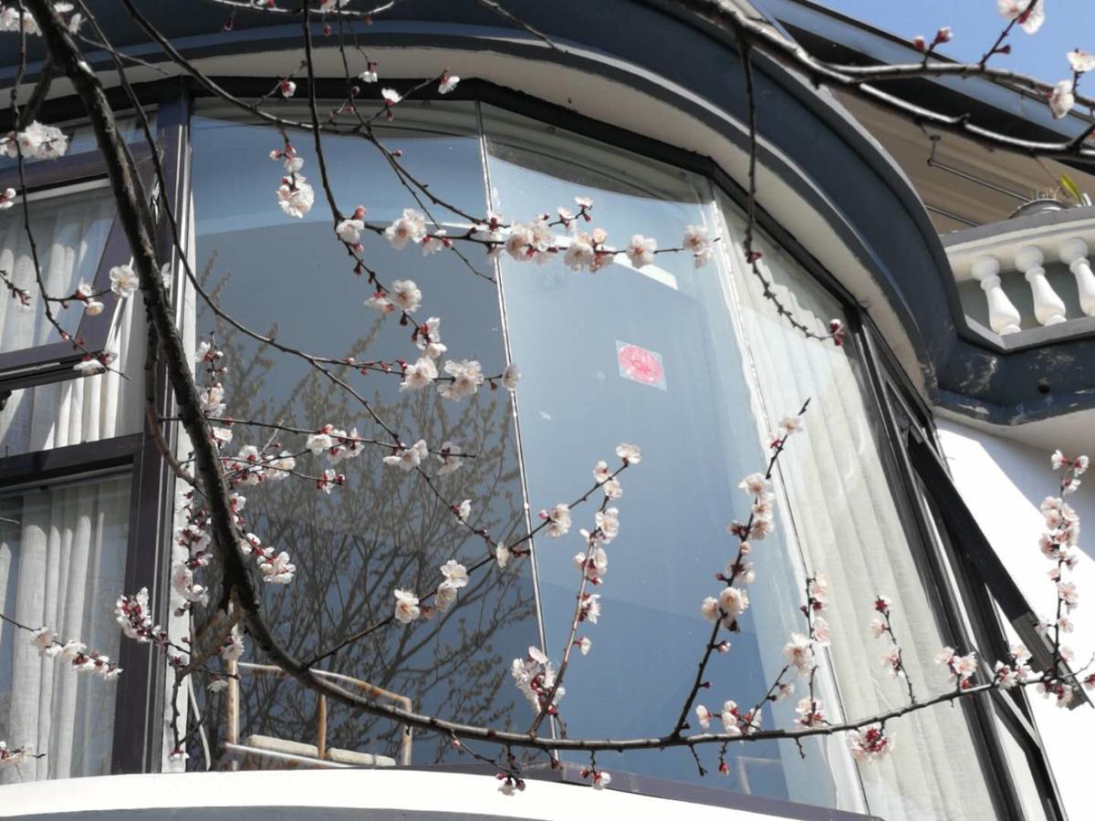 Hangzhou West Lake Lake Yi Tong Intelligent Homestay المظهر الخارجي الصورة